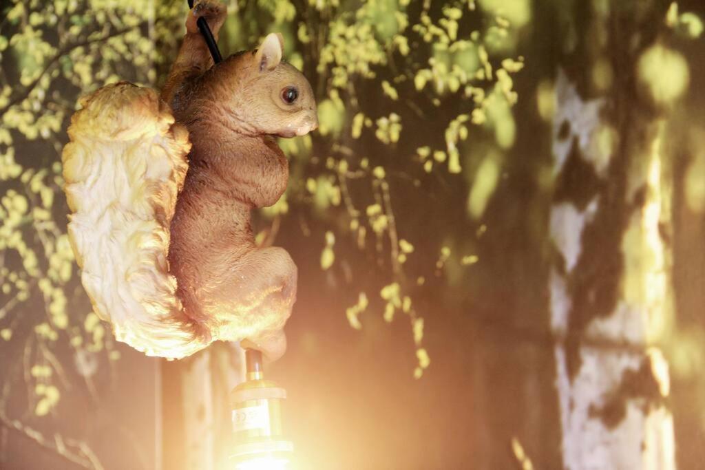 Secret Hideaways Wood Lodge Mit Kinderzimmer Messe L City L Flughafen L Hbf Duisburgo Esterno foto